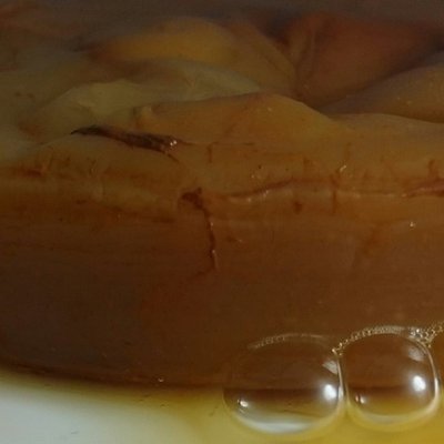 SCOBY/Kumbucha