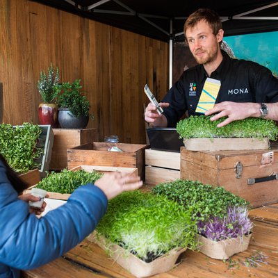 24 Carrot Gardens